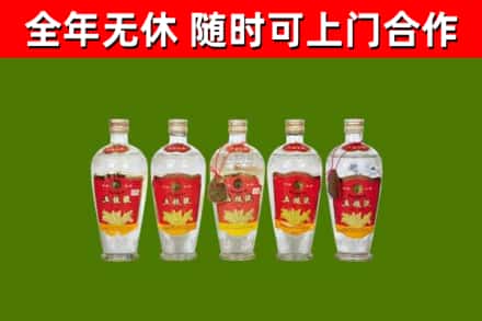 绵阳回收老五粮液